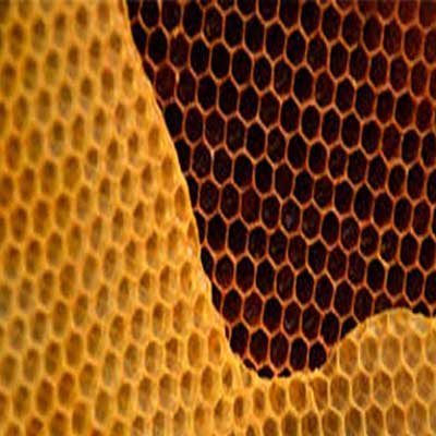 بتن کرمو یا شن نما بسیار شبیه لانه زنبور است.